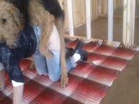 Kinky slut enjoying dog dick inside her pussy from behind